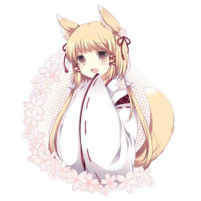 郑州大学回应学生虐猫